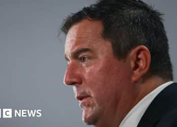 Chute du leader du deuxième parti d'Afrique du Sud