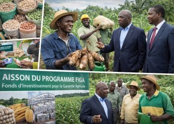 Figa : plus de 1 500 bénéficiaires en 2025