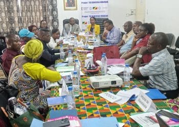 Projet « To Bikisa Mwana » : le bilan à mi-parcours jugé satisfaisant