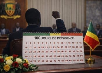 Les 100 premiers jours de DSN : Vers une Accélération du « Carnet de Route » ?