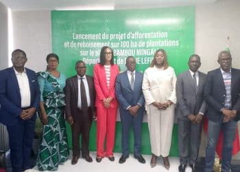 Afforestation : Le projet « Ndzété ya bomoyi » métamorphose la réserve de Bambou Mingali