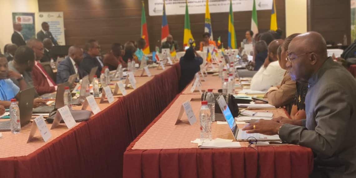 Gouvernance Verte : La CEMAC s'accorde à Brazzaville pour des statistiques environnementales certifiées