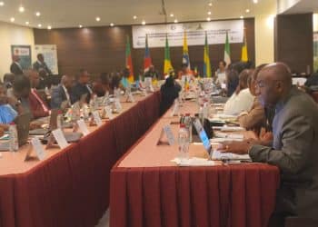 Gouvernance Verte : La CEMAC s'accorde à Brazzaville pour des statistiques environnementales certifiées