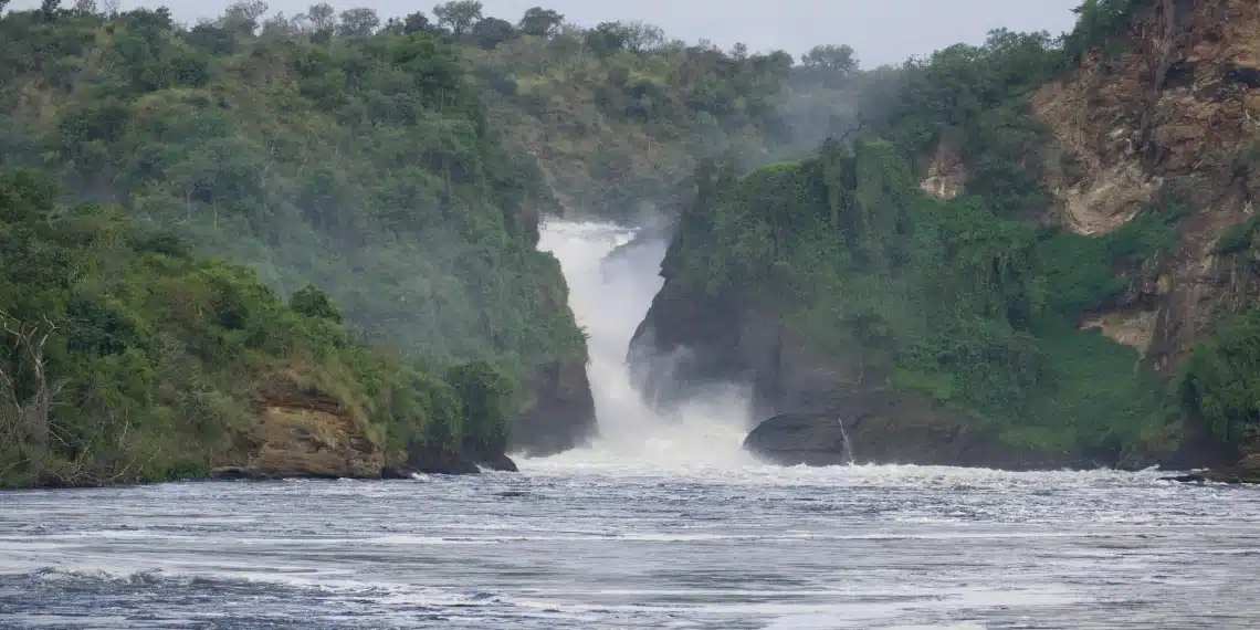 Le Fleuve Congo : Le géant d'ébène au cœur des destins de l'Afrique Centrale