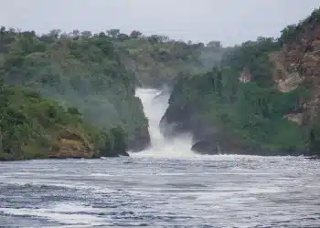 Le Fleuve Congo : Le géant d'ébène au cœur des destins de l'Afrique Centrale