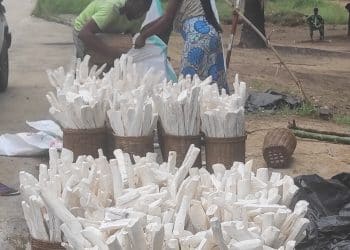 Alima-Léfini : Le foufou de manioc, concrétisation du Carnet de Route pour l'Autonomie de la Jeunesse