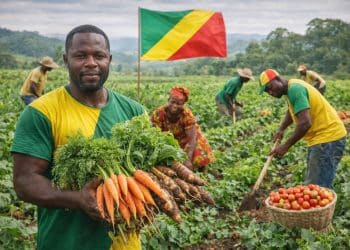 Post-Élection 2026 : La souveraineté alimentaire, premier chantier de la « transition économique ».