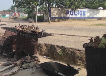 Obouya : La résilience des femmes du maboké façonne l'économie de la Cuvette