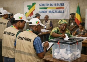 Scrutin du 15 mars : Les observateurs, sentinelles de la transparence électorale