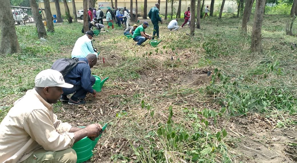 Le Poumon Vert de Brazzaville : La Patte d’Oie entre Renaissance Écologique et Écotourisme