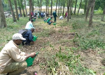 Le Poumon Vert de Brazzaville : La Patte d’Oie entre Renaissance Écologique et Écotourisme