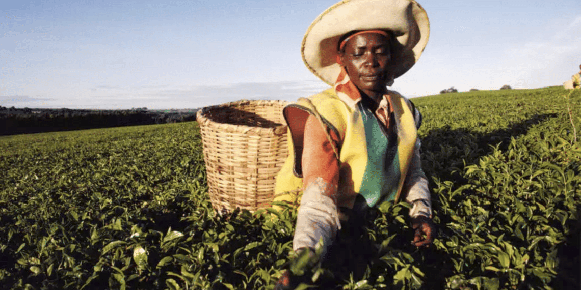 Crise au Moyen-Orient : L'économie du Kenya asphyxiée par le blocage de ses exportations