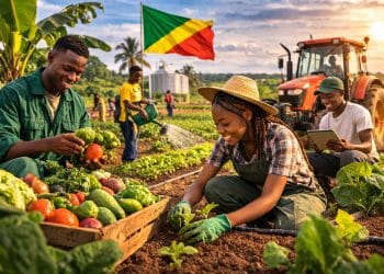 L'Or Vert : Le Pari Agricole de Denis Sassou Nguesso pour une Jeunesse Souveraine