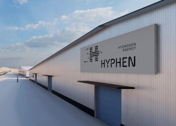 Namibie : Quand le rêve de l’hydrogène vert menace le sanctuaire des pingouins