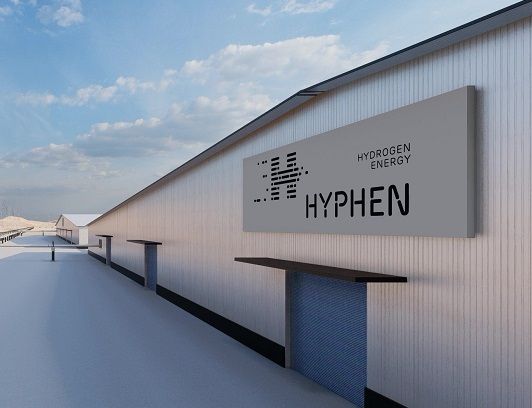 Namibie : Quand le rêve de l’hydrogène vert menace le sanctuaire des pingouins