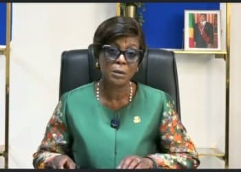 Diplomatie verte : Le Congo, moteur d’une Afrique durable