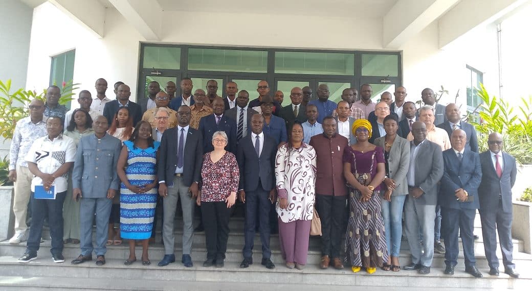 Économie forestière : Vers une révolution structurelle de la filière bois domestique au Congo