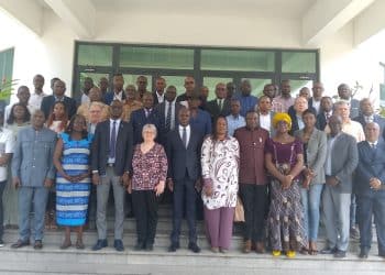 Économie forestière : Vers une révolution structurelle de la filière bois domestique au Congo