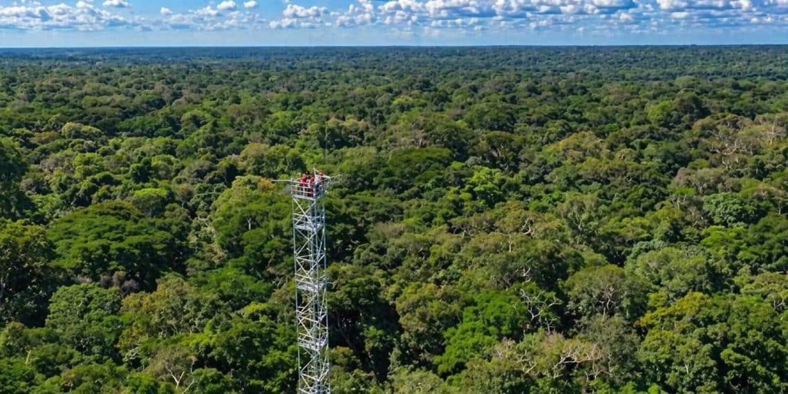 Bassin du Congo : la réserve de Yangambi érigée en modèle mondial par l’Unesco