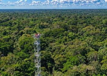 Bassin du Congo : la réserve de Yangambi érigée en modèle mondial par l’Unesco