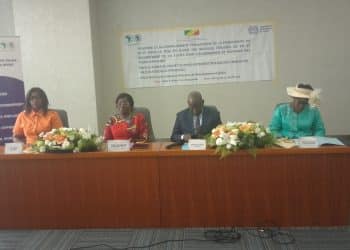 Capital humain et entrepreneuriat : La jeunesse congolaise au cœur de l'émergence agricole