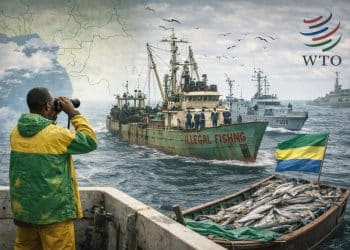 Souveraineté Maritime en Afrique Centrale : La Pêche face aux Défis de la Gouvernance Mondiale