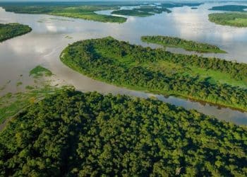 Économie verte : La Banque mondiale injecte 394 millions de dollars pour transformer le Bassin du Congo