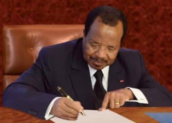 Cameroun : Vers une réforme constitutionnelle majeure avec l'instauration d'un poste de vice-président