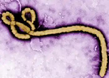 Ebola de retour en Ituri, l’Afrique Centrale face à une menace sanitaire
