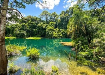Congo : le plan pour devenir la référence de l'écotourisme