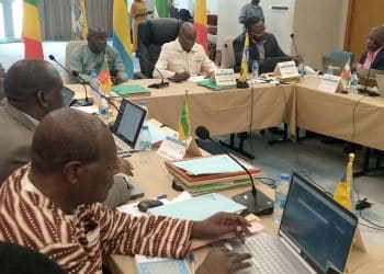 Afrique Centrale : Le saut vers la haute précision statistique pour transformer l’économie de la CEMAC
