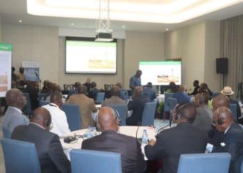 Modernisation durable : le Congo invente le numérique de demain