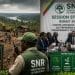 Urgence verte : Le cri d'alarme du reboisement au Congo