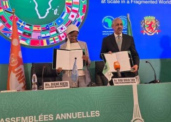 Santé des femmes en Afrique : Le plan secret de la BAD et du Fnuap pour booster l'économie