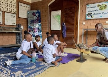 Éducation à l'environnement : Renatura et Congo Terminal mobilisent les familles pour la planète