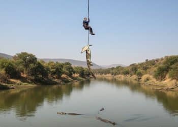 Afrique du Sud - Suspendu au-dessus de crocodiles, un policier récupère des restes humains dans une mission terrifiante
