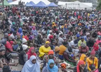 Durban : 5 000 Malawites traqués par la xénophobie sud-africaine