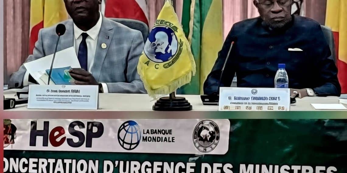 Alerte Ebola en Afrique centrale : Le plan de surveillance d'urgence activé aux frontières de la CEMAC dès juin 2026