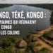 Loango, Téké, Kongo : les royaumes qui régnaient sur le Congo avant les colons