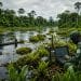 Le secret vert de la planète : Comment le Congo est devenu le bouclier ultime contre le chaos climatique