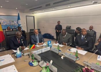 Diplomatie pétrolière : Rencontre stratégique entre le Congo et l’Opep à Vienne