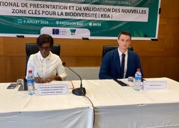 Trésor mondial au Congo : 4 nouvelles zones clés pour la biodiversité découvertes à la Likouala et à l’île Mbamou