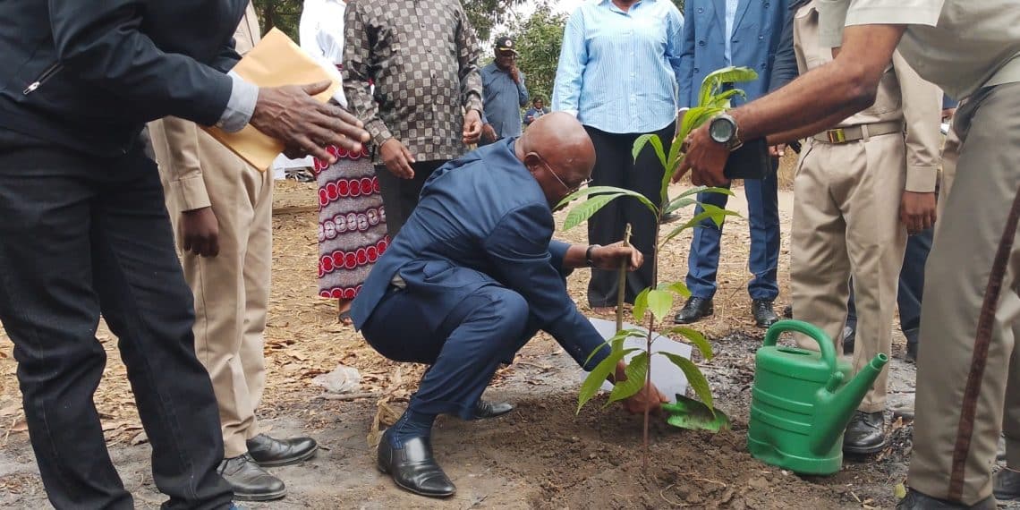 Bouclier écologique à Brazzaville : Pourquoi l’armée congolaise investit massivement la Patte d’Oie avec des arbres d’élite