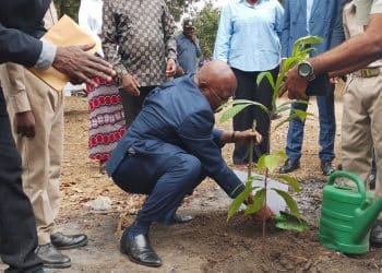 Bouclier écologique à Brazzaville : Pourquoi l’armée congolaise investit massivement la Patte d’Oie avec des arbres d’élite