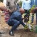 Bouclier écologique à Brazzaville : Pourquoi l&rsquo;armée congolaise investit massivement la Patte d&rsquo;Oie avec des arbres d&rsquo;élite