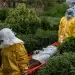 Épidémie d'Ebola en RDC : Le seuil dramatique des 1 000 morts franchi, l'Ituri au cœur d'une tragédie humanitaire sans précédent