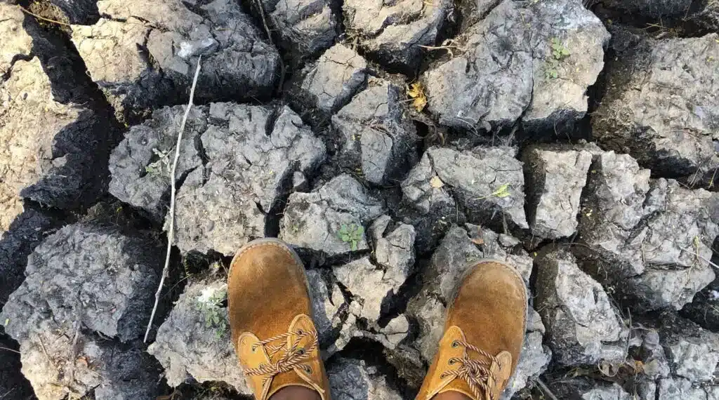 Urgence climat en Afrique : Le monstre El Niño menace de ravager l'économie avec une facture hallucinante de 20 milliards de dollars