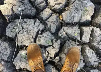 Urgence climat en Afrique : Le monstre El Niño menace de ravager l'économie avec une facture hallucinante de 20 milliards de dollars