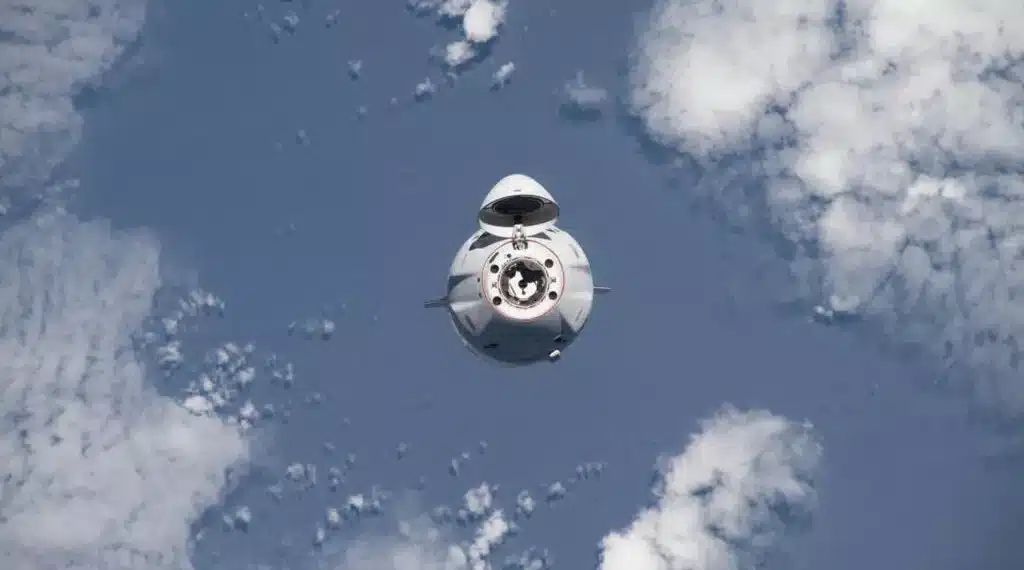 Agriculture spatiale : Le rooibos d'Afrique du Sud s'envole vers l'ISS