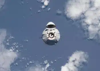 Agriculture spatiale : Le rooibos d'Afrique du Sud s'envole vers l'ISS